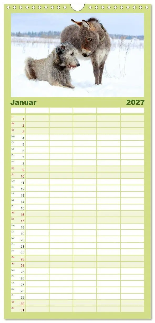 Bild: 9783594331095 | Familienplaner 2027 - Das Esel-Paradies - Hunde und andere Feunde...