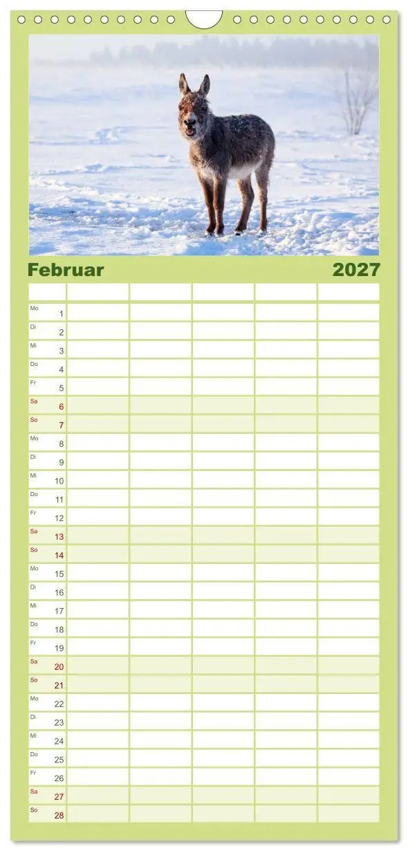 Bild: 9783594331095 | Familienplaner 2027 - Das Esel-Paradies - Hunde und andere Feunde...