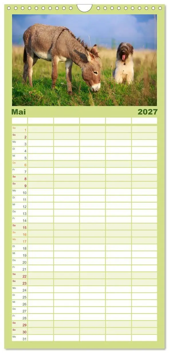 Bild: 9783594331095 | Familienplaner 2027 - Das Esel-Paradies - Hunde und andere Feunde...