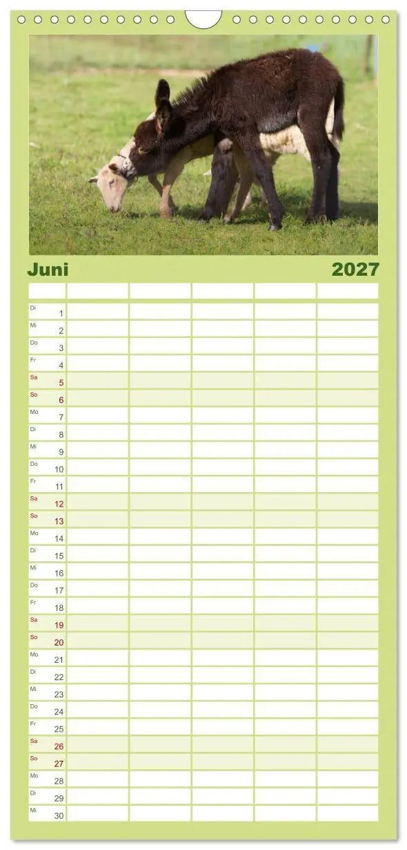 Bild: 9783594331095 | Familienplaner 2027 - Das Esel-Paradies - Hunde und andere Feunde...