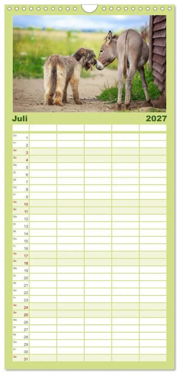 Bild: 9783594331095 | Familienplaner 2027 - Das Esel-Paradies - Hunde und andere Feunde...