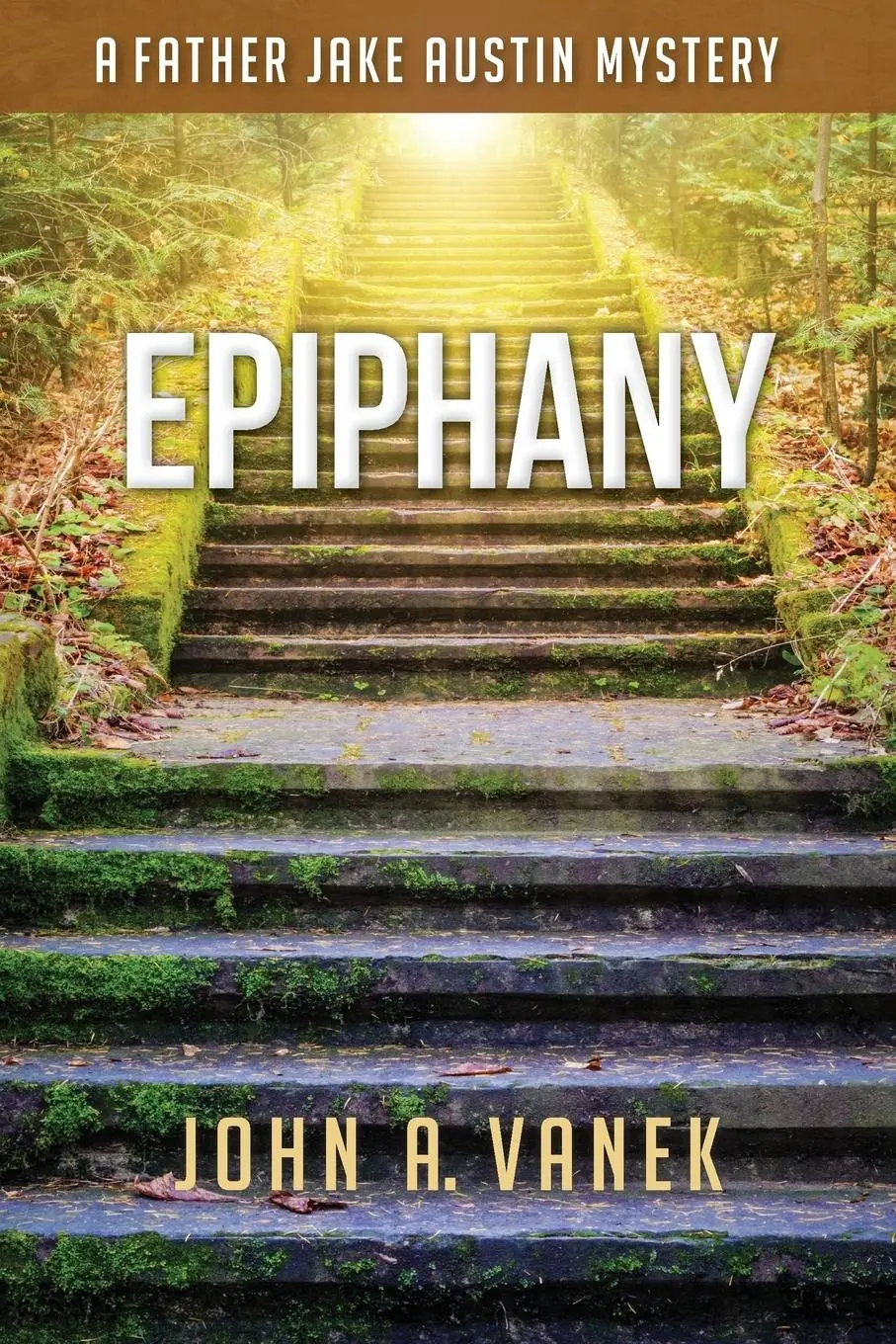 Cover: 9781684921195 | Epiphany | John A Vanek | Taschenbuch | Englisch | 2023