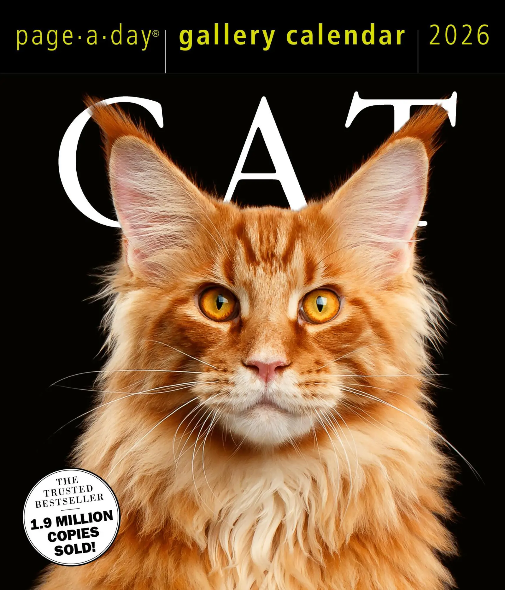Cover: 9781523531295 | Cat Page-A-Day® Gallery Calendar 2026 | Workman Calendars | Kalender