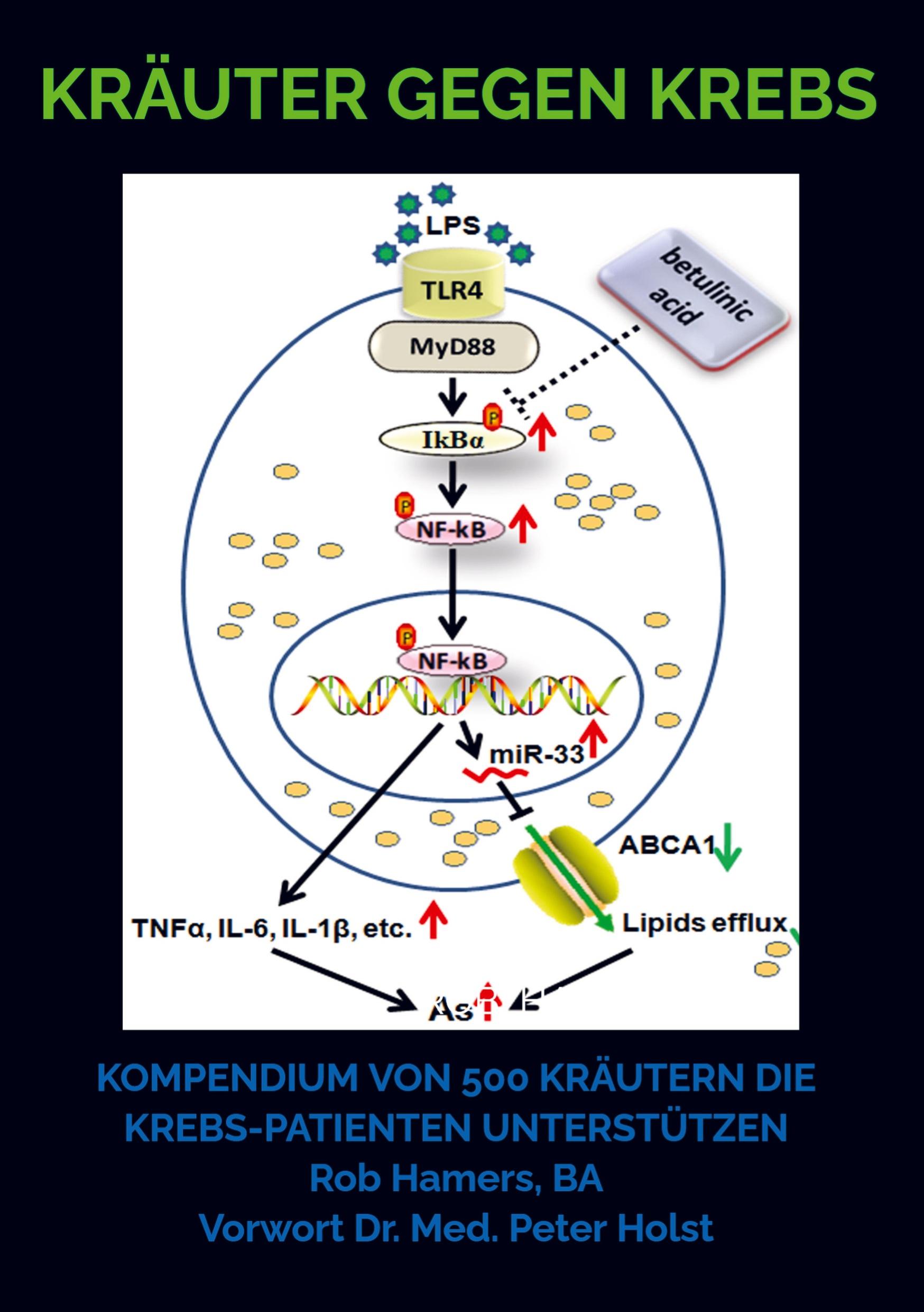 Cover: 9789403631295 | Kräuter gegen Krebs | Rob Hamers | Taschenbuch | Paperback | 124 S.