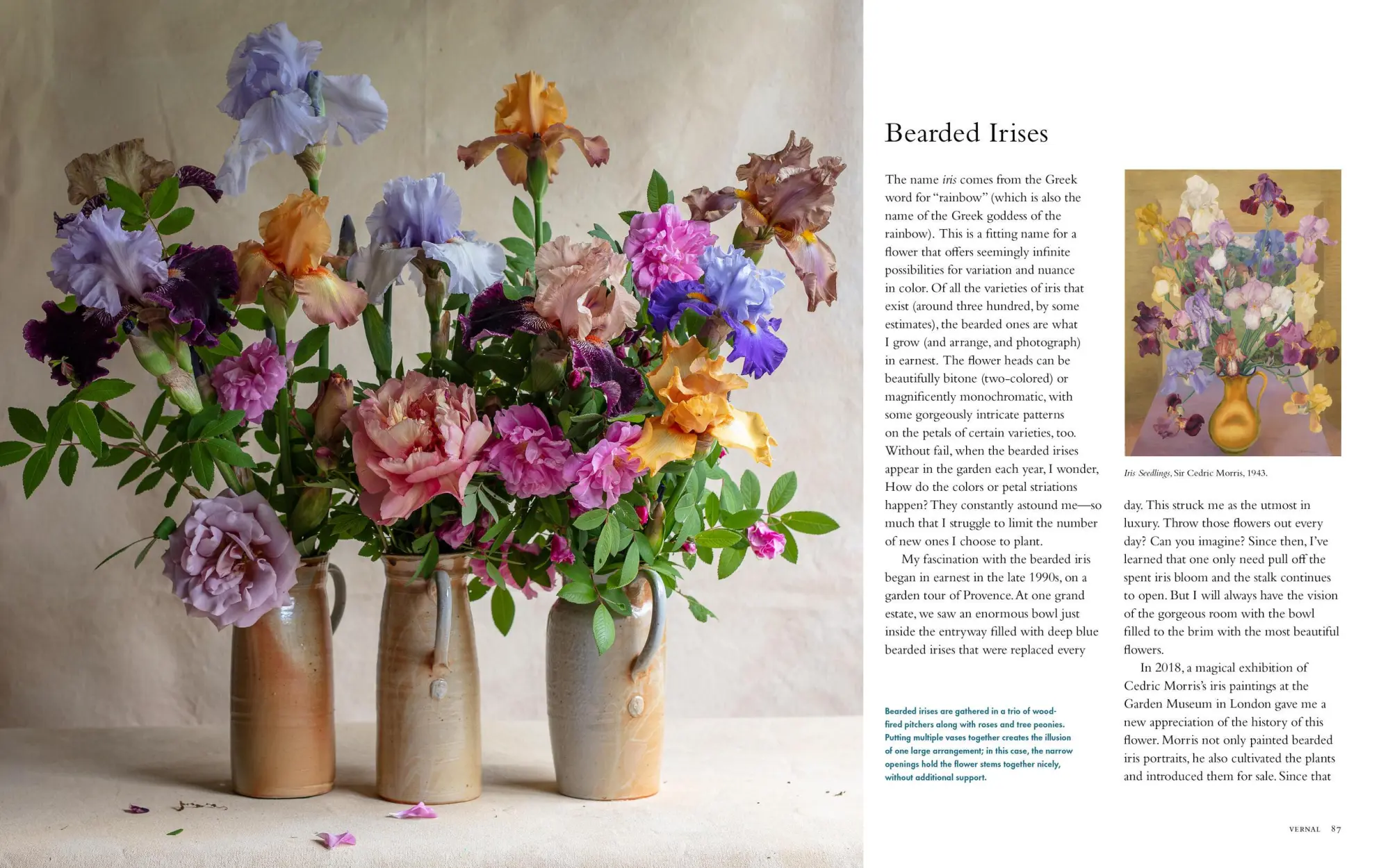 Bild: 9781648291395 | Life with Flowers | Inspiration and Lessons from the Garden | Palmer