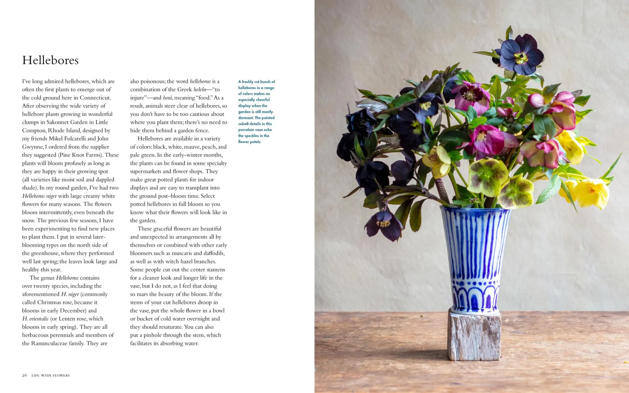 Bild: 9781648291395 | Life with Flowers | Inspiration and Lessons from the Garden | Palmer