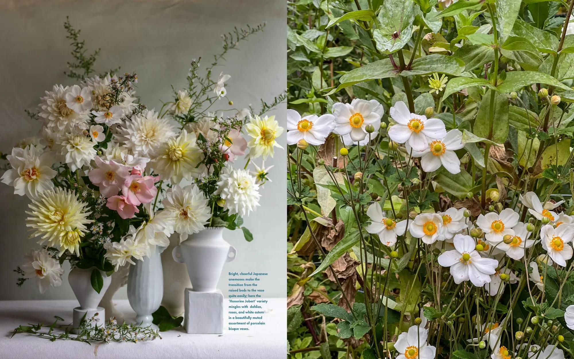 Bild: 9781648291395 | Life with Flowers | Inspiration and Lessons from the Garden | Palmer