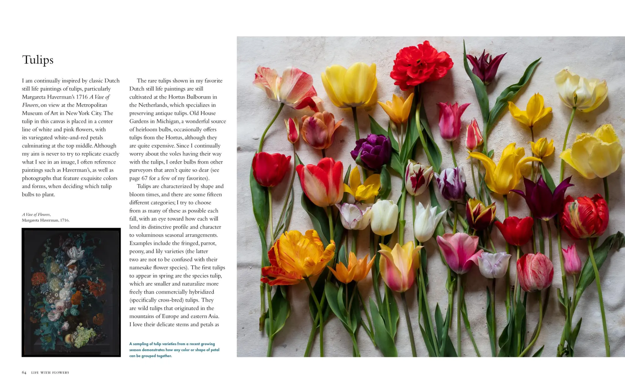 Bild: 9781648291395 | Life with Flowers | Inspiration and Lessons from the Garden | Palmer