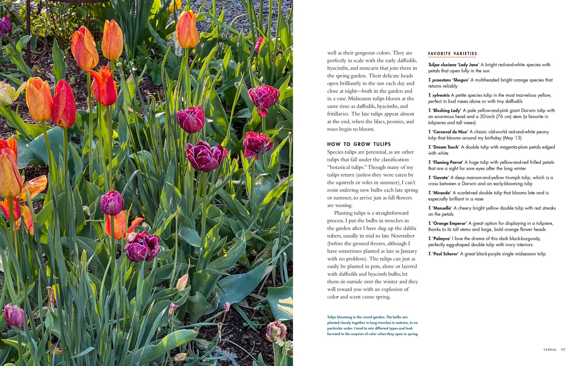 Bild: 9781648291395 | Life with Flowers | Inspiration and Lessons from the Garden | Palmer