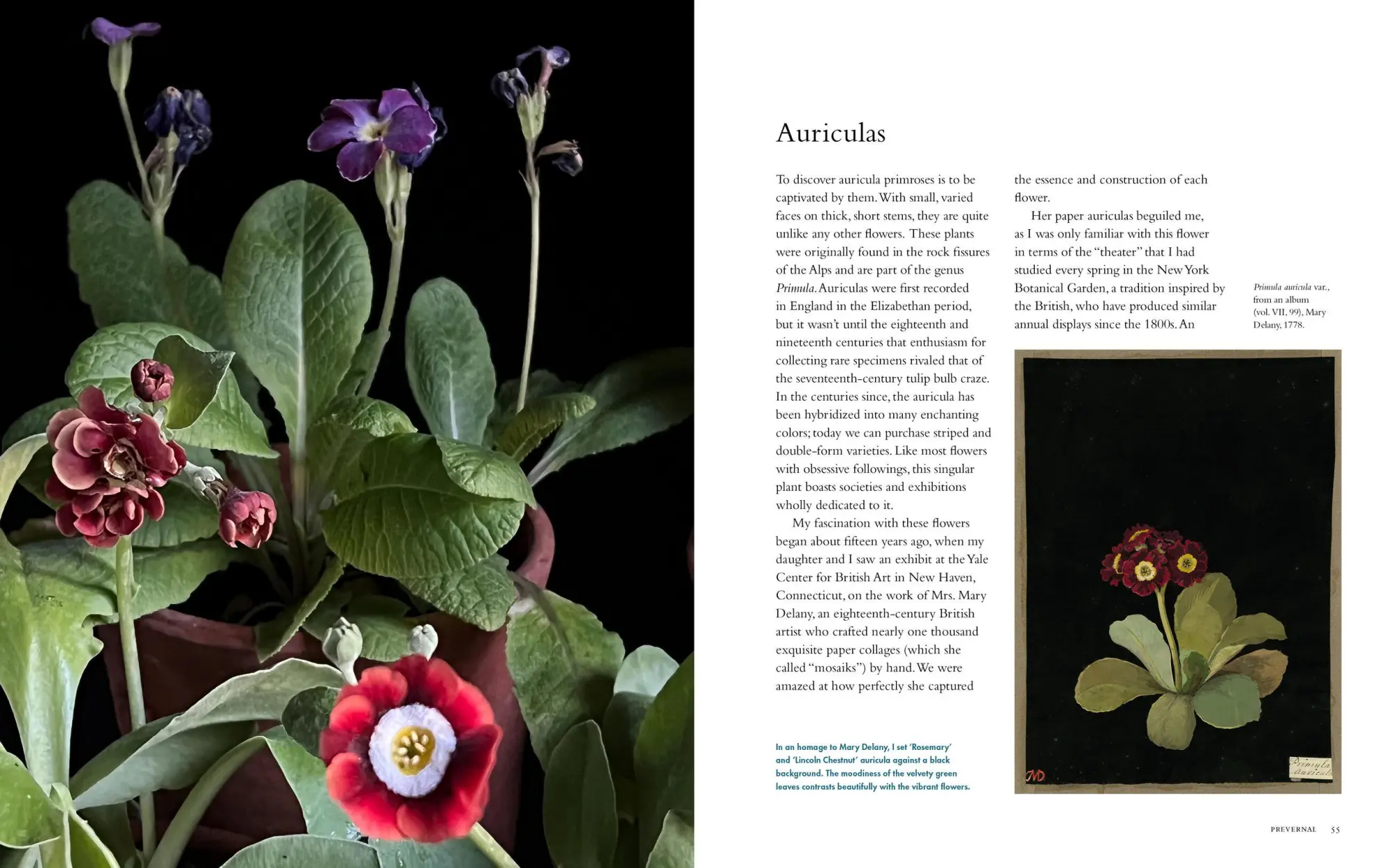Bild: 9781648291395 | Life with Flowers | Inspiration and Lessons from the Garden | Palmer