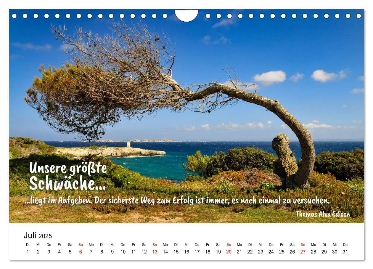 Bild: 9783383971495 | Zitate fürs Leben (Wandkalender 2025 DIN A4 quer), CALVENDO...