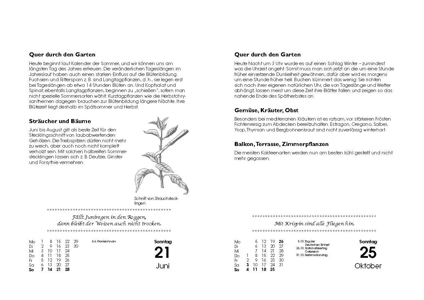 Bild: 9783809451495 | Gartenkalender 2026 | mit Aussaattagen, Balkon- und Zimmerpflanzen
