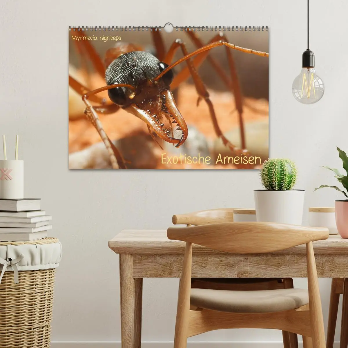 Bild: 9783516161595 | Exotische Ameisen (Wandkalender 2026 DIN A3 quer), CALVENDO...