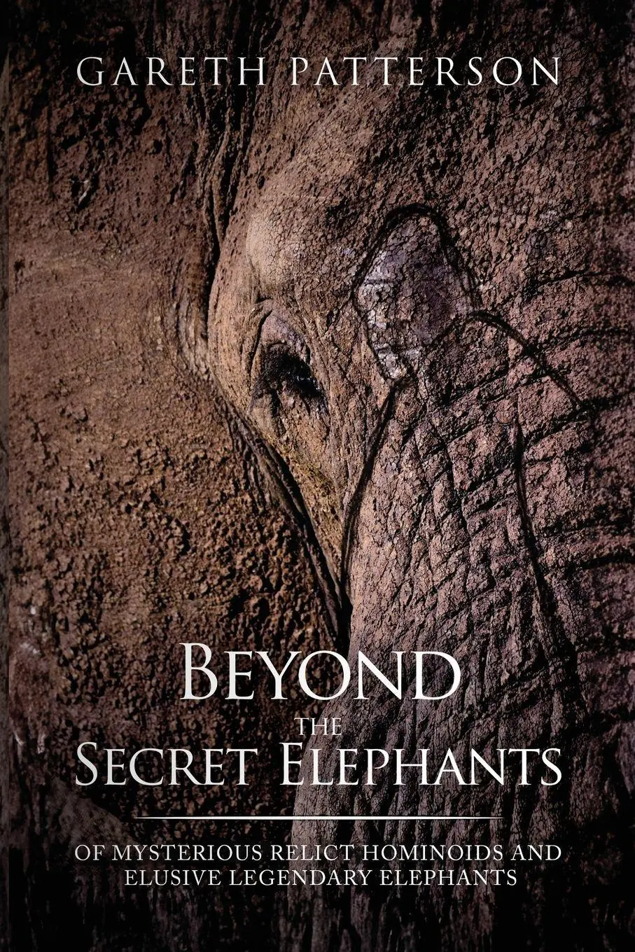 Cover: 9781955471695 | Beyond the Secret Elephants | Gareth Patterson | Taschenbuch | 2023