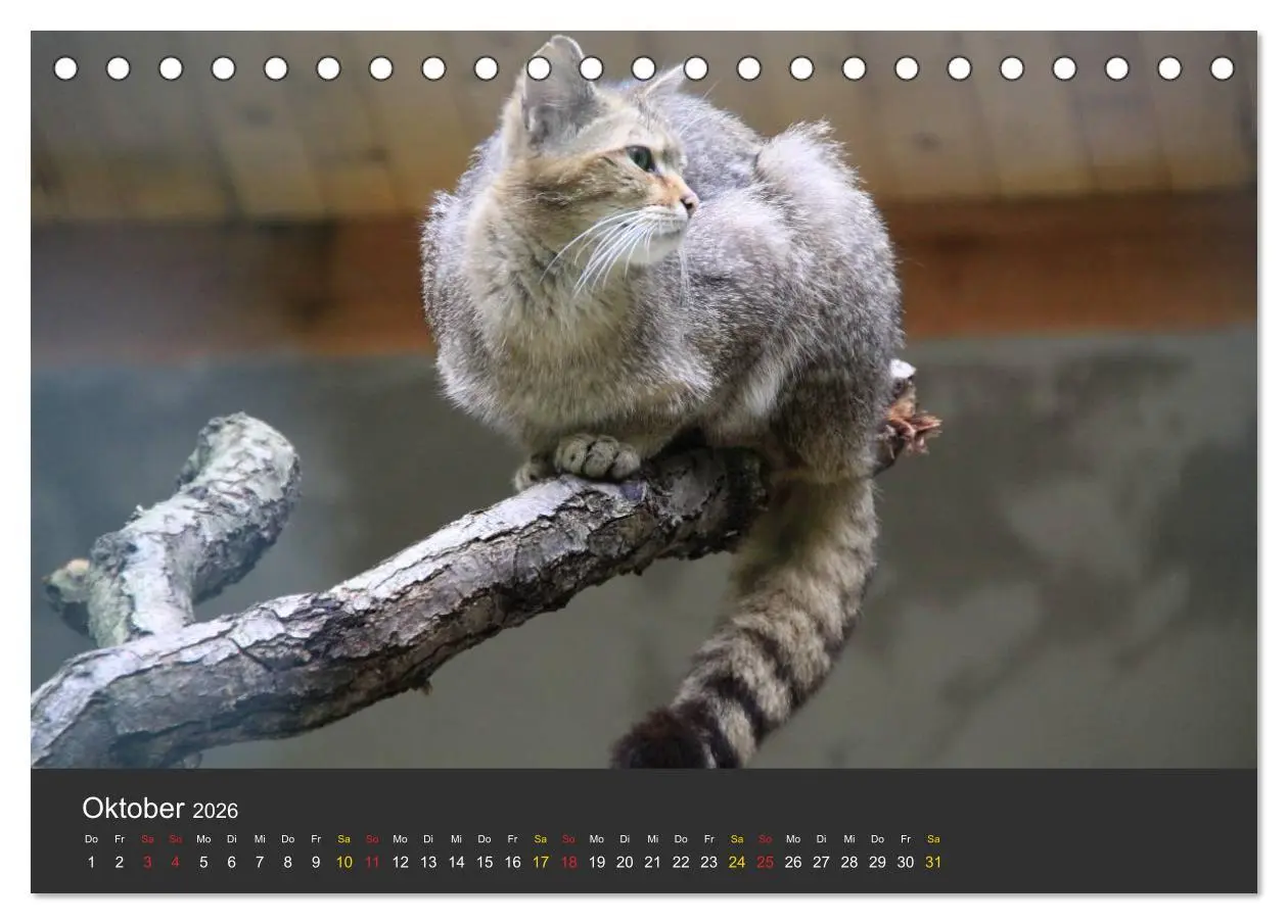 Bild: 9783516151695 | Tierpark-Gera (Tischkalender 2026 DIN A5 quer), CALVENDO...