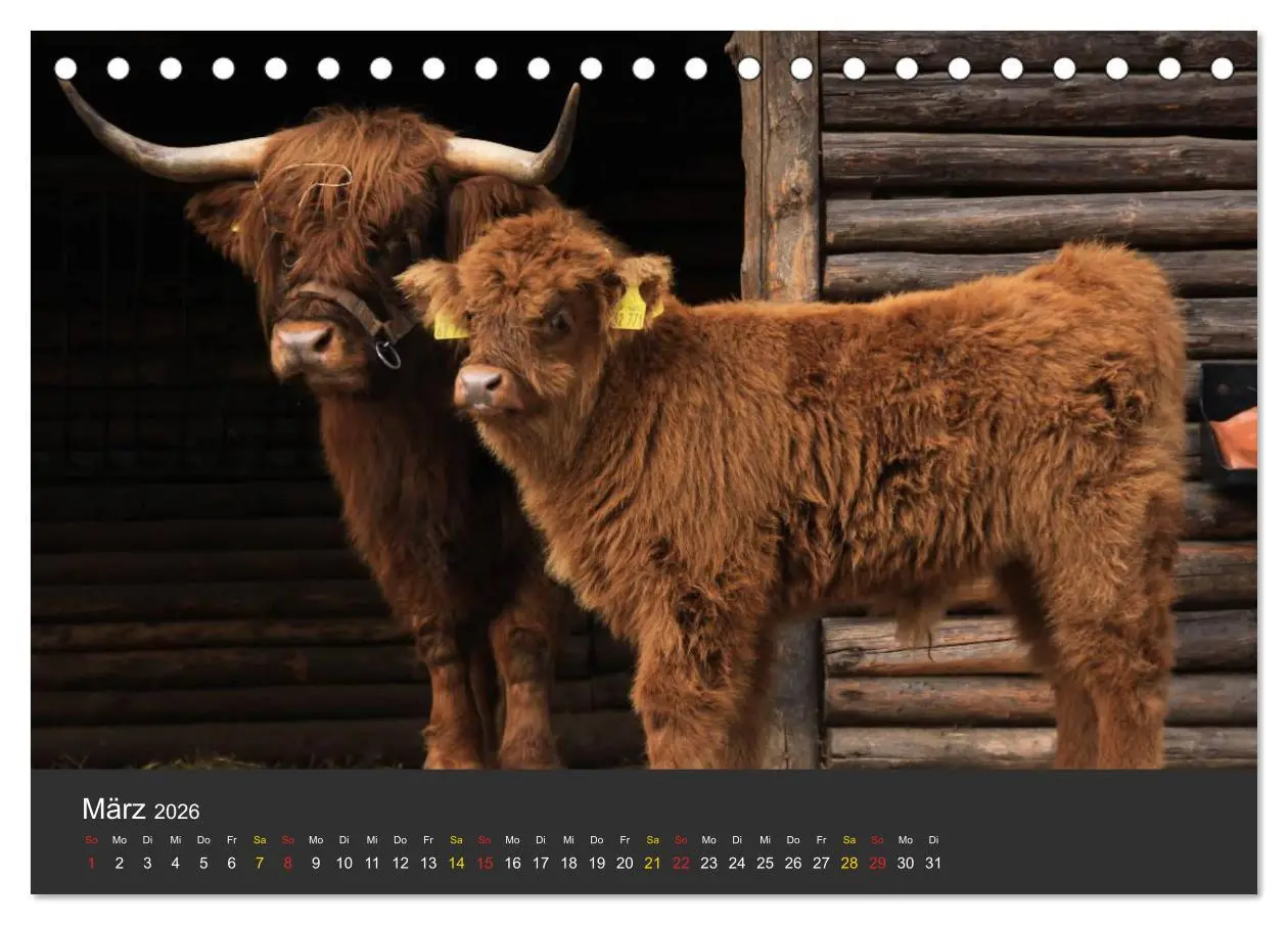 Bild: 9783516151695 | Tierpark-Gera (Tischkalender 2026 DIN A5 quer), CALVENDO...