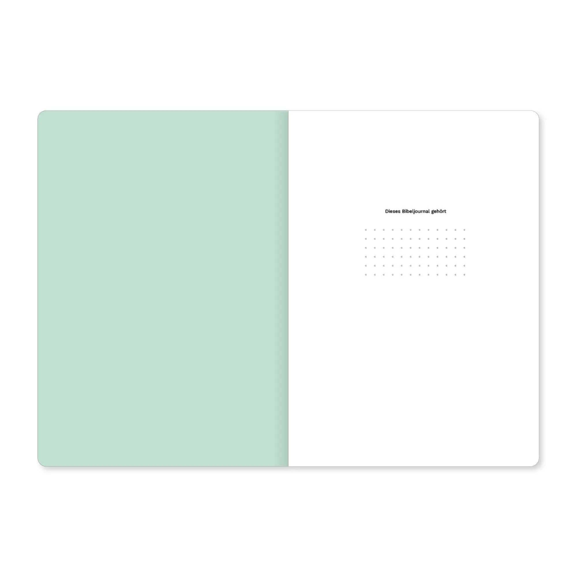Bild: 9783986651695 | Rut (Bibeljournal) | Verbum Medien | Taschenbuch | Bibeljournal | 2024
