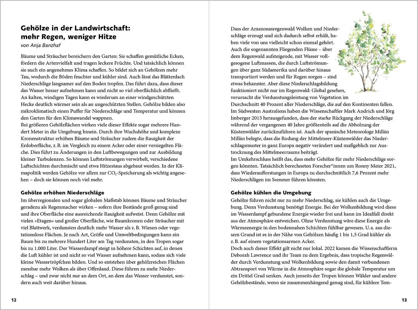 Bild: 9783987261695 | taschenGARTEN 2027 | Bäume, Sträucher, Gemüse: Agroforst im Hausgarten