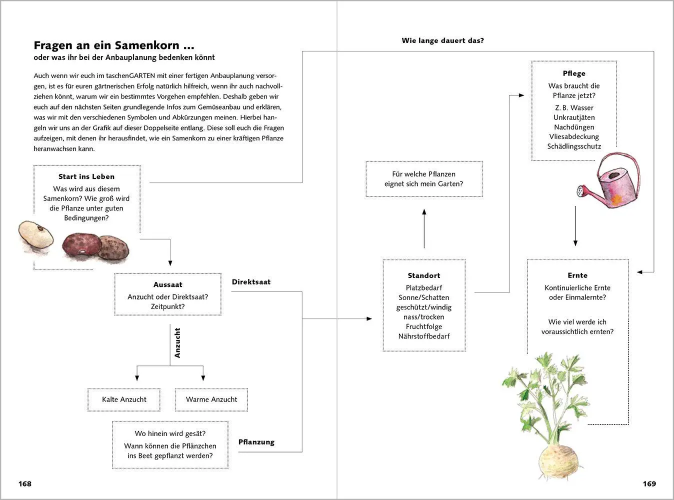 Bild: 9783987261695 | taschenGARTEN 2027 | Bäume, Sträucher, Gemüse: Agroforst im Hausgarten