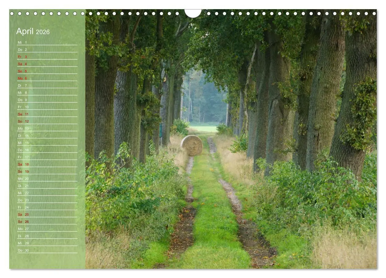 Bild: 9783457501795 | Wendlandreise (Wandkalender 2026 DIN A3 quer), CALVENDO Monatskalender