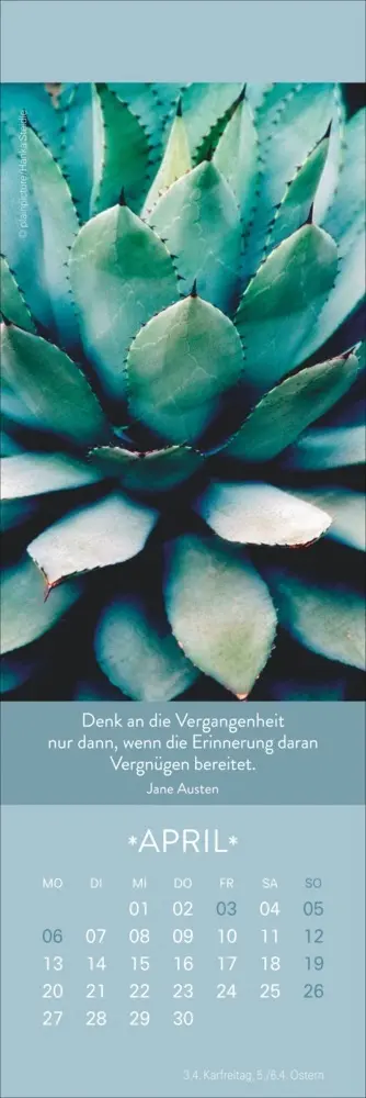 Bild: 9783756411795 | Gute Gedanken Lesezeichen &amp; Kalender 2026 | Kalender | Geblockt | 2026
