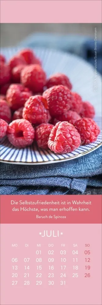 Bild: 9783756411795 | Gute Gedanken Lesezeichen &amp; Kalender 2026 | Kalender | Geblockt | 2026