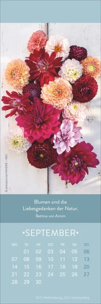 Bild: 9783756411795 | Gute Gedanken Lesezeichen &amp; Kalender 2026 | Kalender | Geblockt | 2026