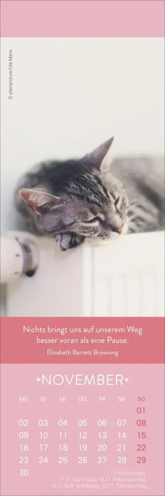 Bild: 9783756411795 | Gute Gedanken Lesezeichen &amp; Kalender 2026 | Kalender | Geblockt | 2026