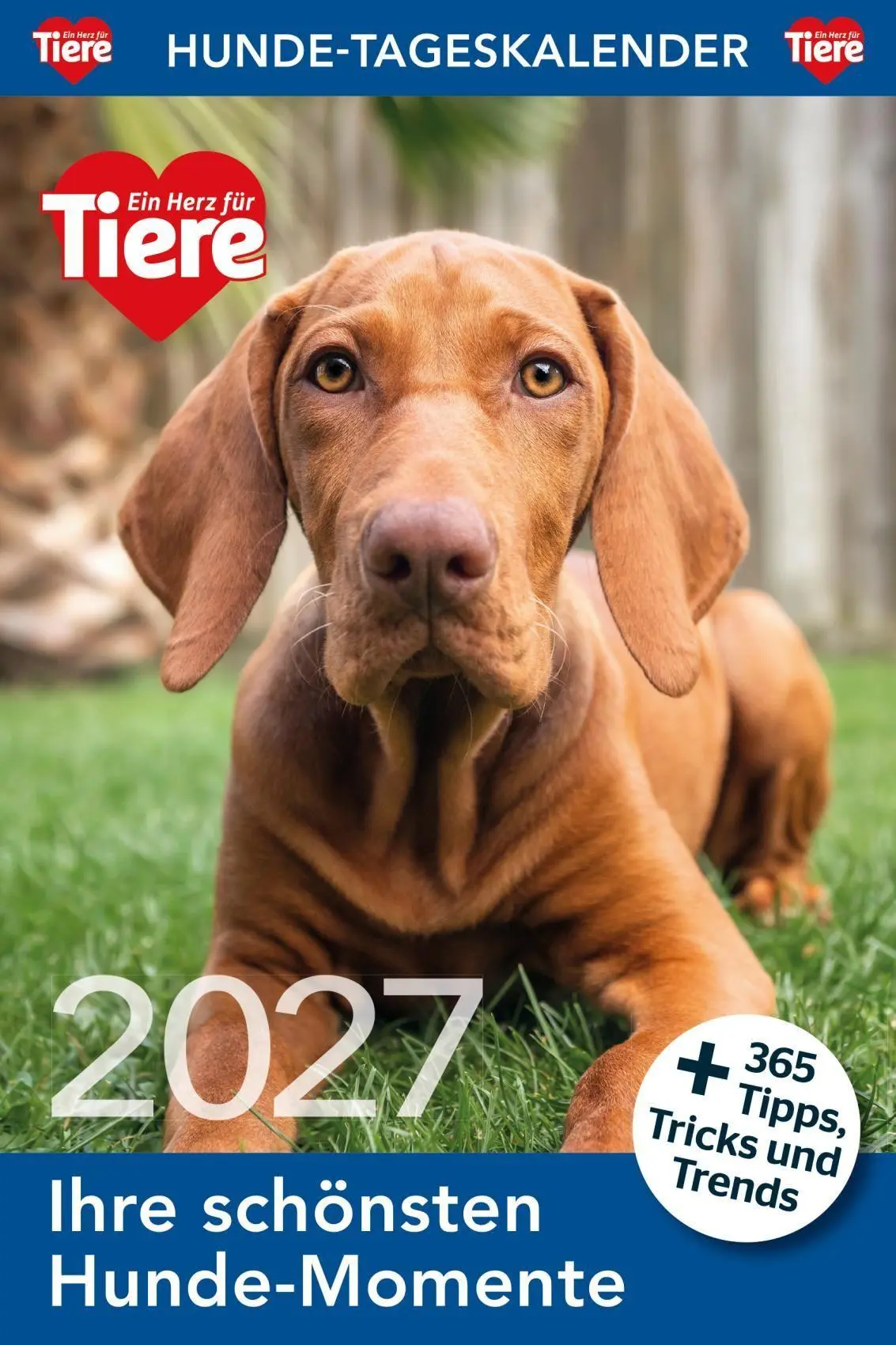 Cover: 9783865171795 | Hunde Tageskalender 2027 | Kalender | 365 S. | Deutsch | 2027