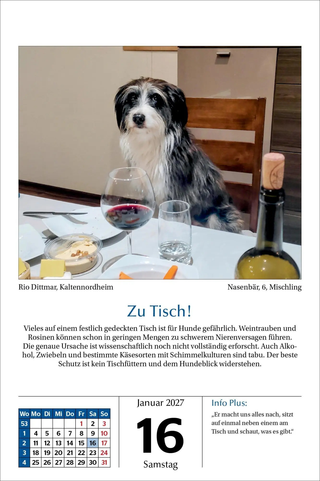 Bild: 9783865171795 | Hunde Tageskalender 2027 | Kalender | 365 S. | Deutsch | 2027