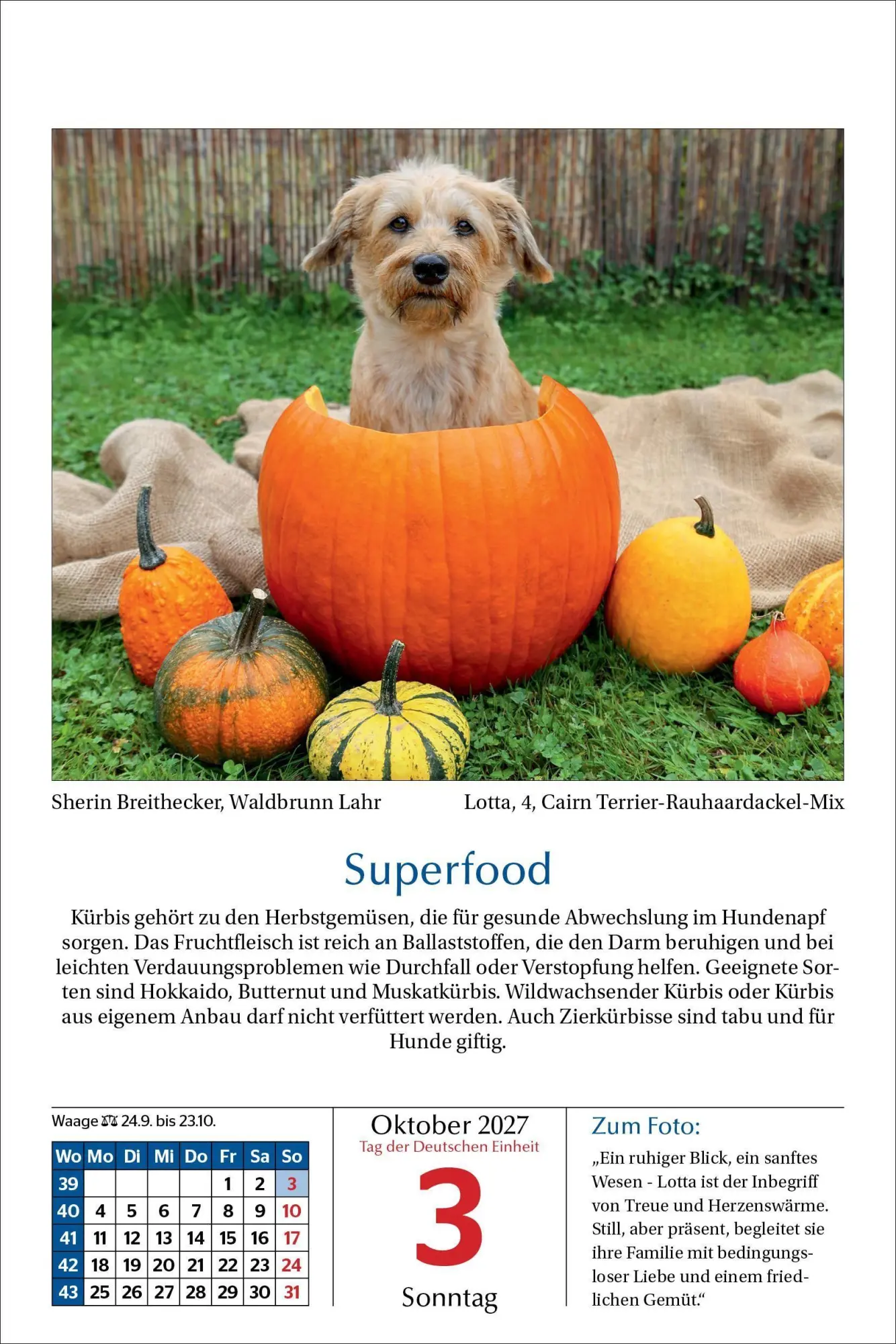 Bild: 9783865171795 | Hunde Tageskalender 2027 | Kalender | 365 S. | Deutsch | 2027