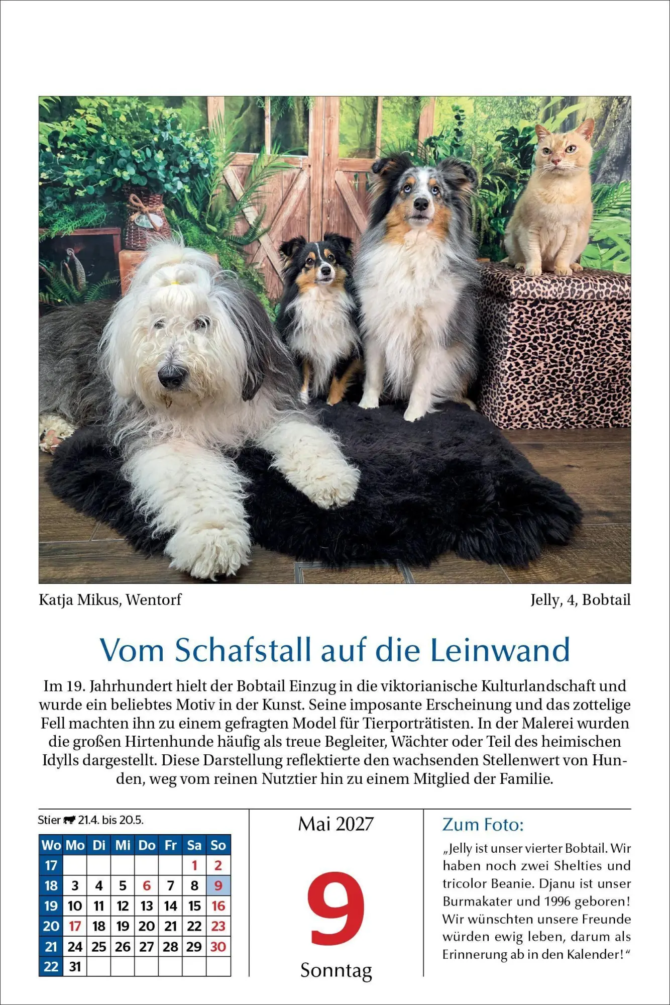 Bild: 9783865171795 | Hunde Tageskalender 2027 | Kalender | 365 S. | Deutsch | 2027