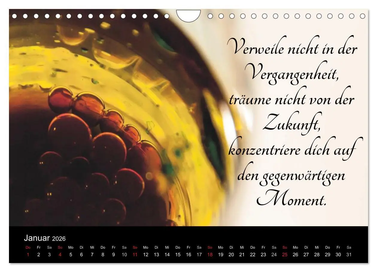 Bild: 9783457971895 | Mit Sprüchen und Weisheiten durch´s Jahr (Wandkalender 2026 DIN A4...