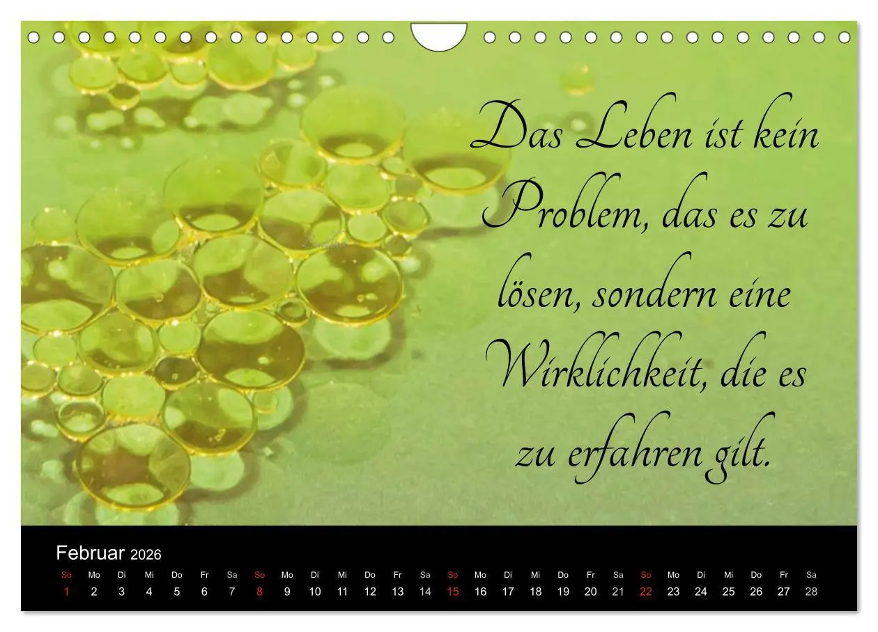Bild: 9783457971895 | Mit Sprüchen und Weisheiten durch´s Jahr (Wandkalender 2026 DIN A4...