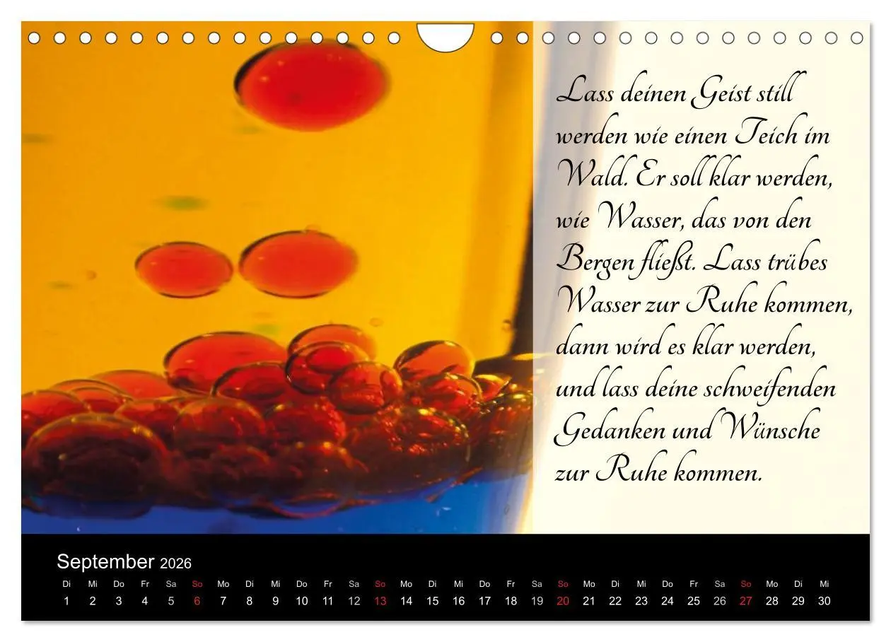 Bild: 9783457971895 | Mit Sprüchen und Weisheiten durch´s Jahr (Wandkalender 2026 DIN A4...