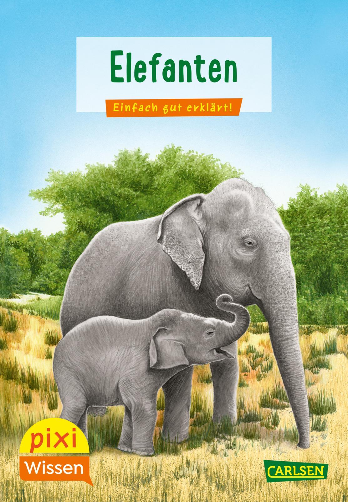 Cover: 9783551231895 | Pixi Wissen 18: VE 5 Elefanten | Hanna Sörensen | Broschüre | Deutsch