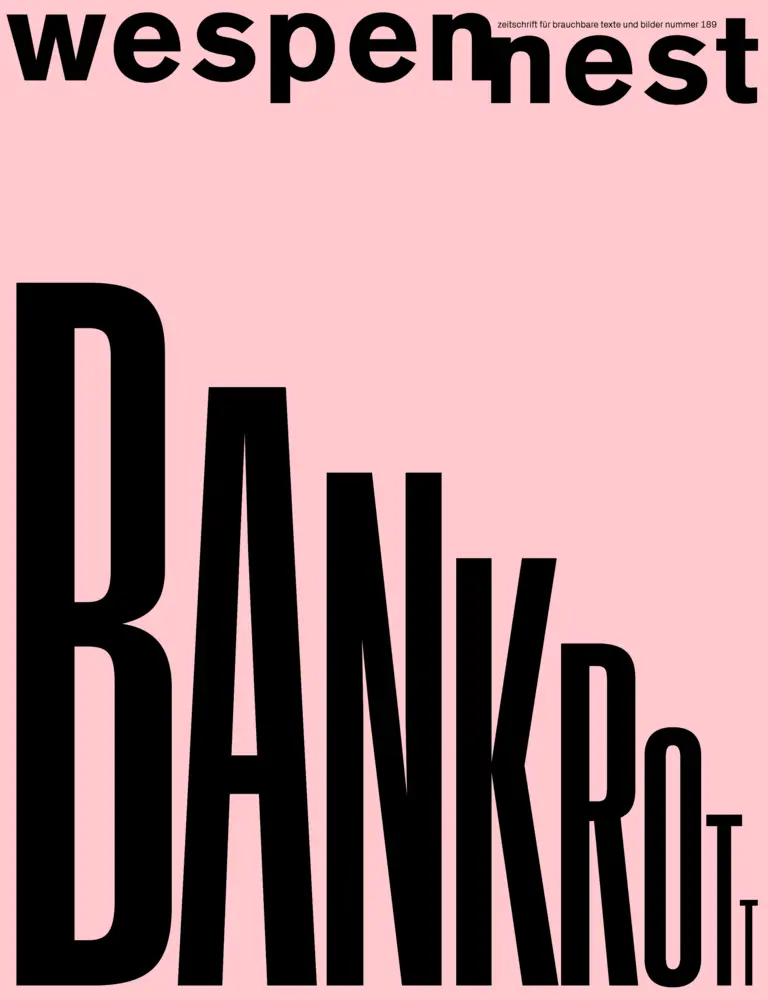 Cover: 9783854581895 | wespennest - zeitschrift für brauchbare texte und bilder | Broschüre