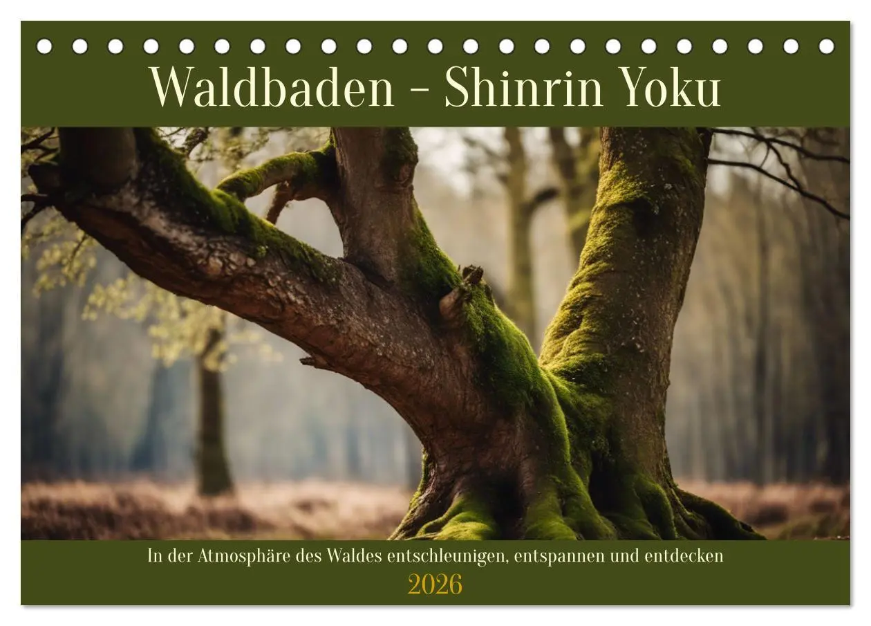 Cover: 9783457411995 | Waldbaden - Shinrin Yoku (Tischkalender 2026 DIN A5 quer), CALVENDO...