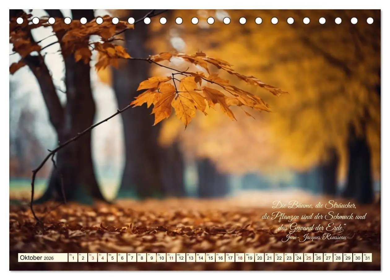Bild: 9783457411995 | Waldbaden - Shinrin Yoku (Tischkalender 2026 DIN A5 quer), CALVENDO...