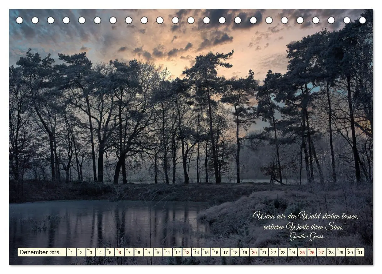 Bild: 9783457411995 | Waldbaden - Shinrin Yoku (Tischkalender 2026 DIN A5 quer), CALVENDO...