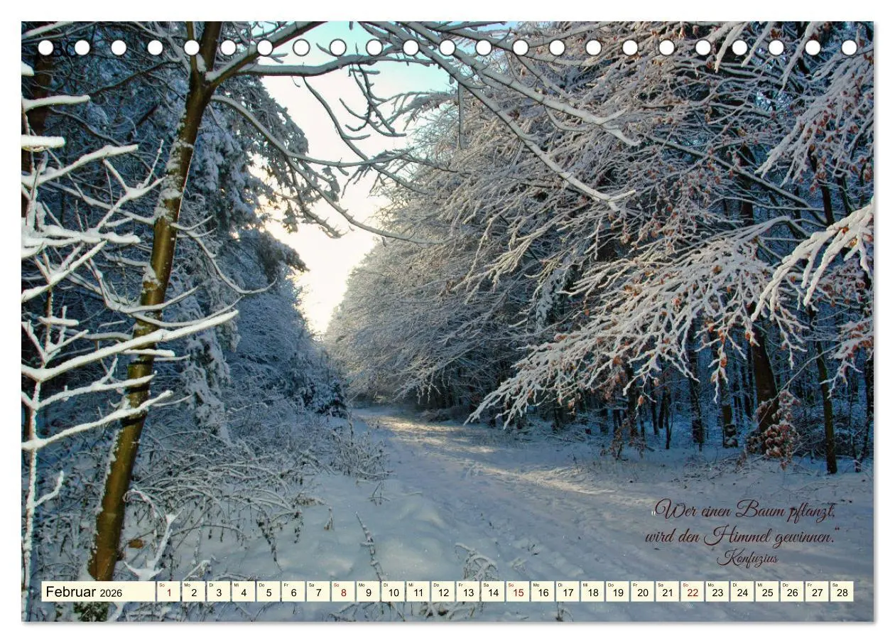 Bild: 9783457411995 | Waldbaden - Shinrin Yoku (Tischkalender 2026 DIN A5 quer), CALVENDO...