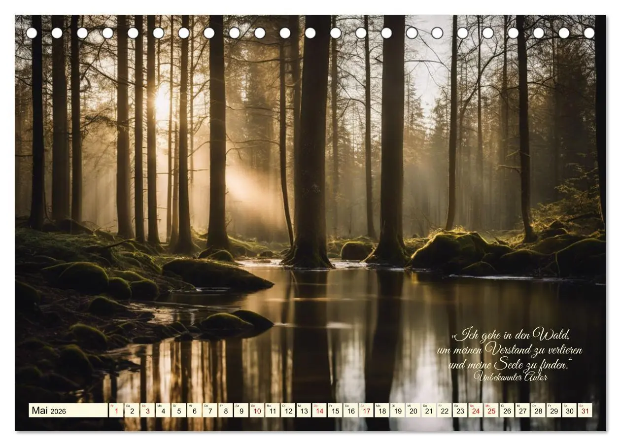 Bild: 9783457411995 | Waldbaden - Shinrin Yoku (Tischkalender 2026 DIN A5 quer), CALVENDO...