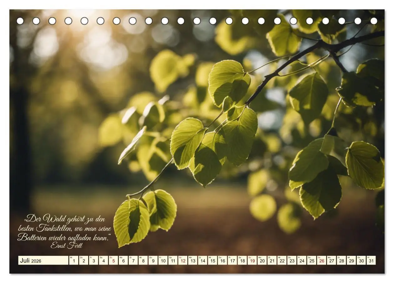 Bild: 9783457411995 | Waldbaden - Shinrin Yoku (Tischkalender 2026 DIN A5 quer), CALVENDO...