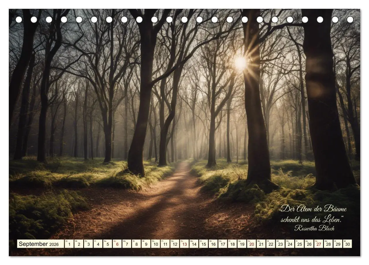 Bild: 9783457411995 | Waldbaden - Shinrin Yoku (Tischkalender 2026 DIN A5 quer), CALVENDO...