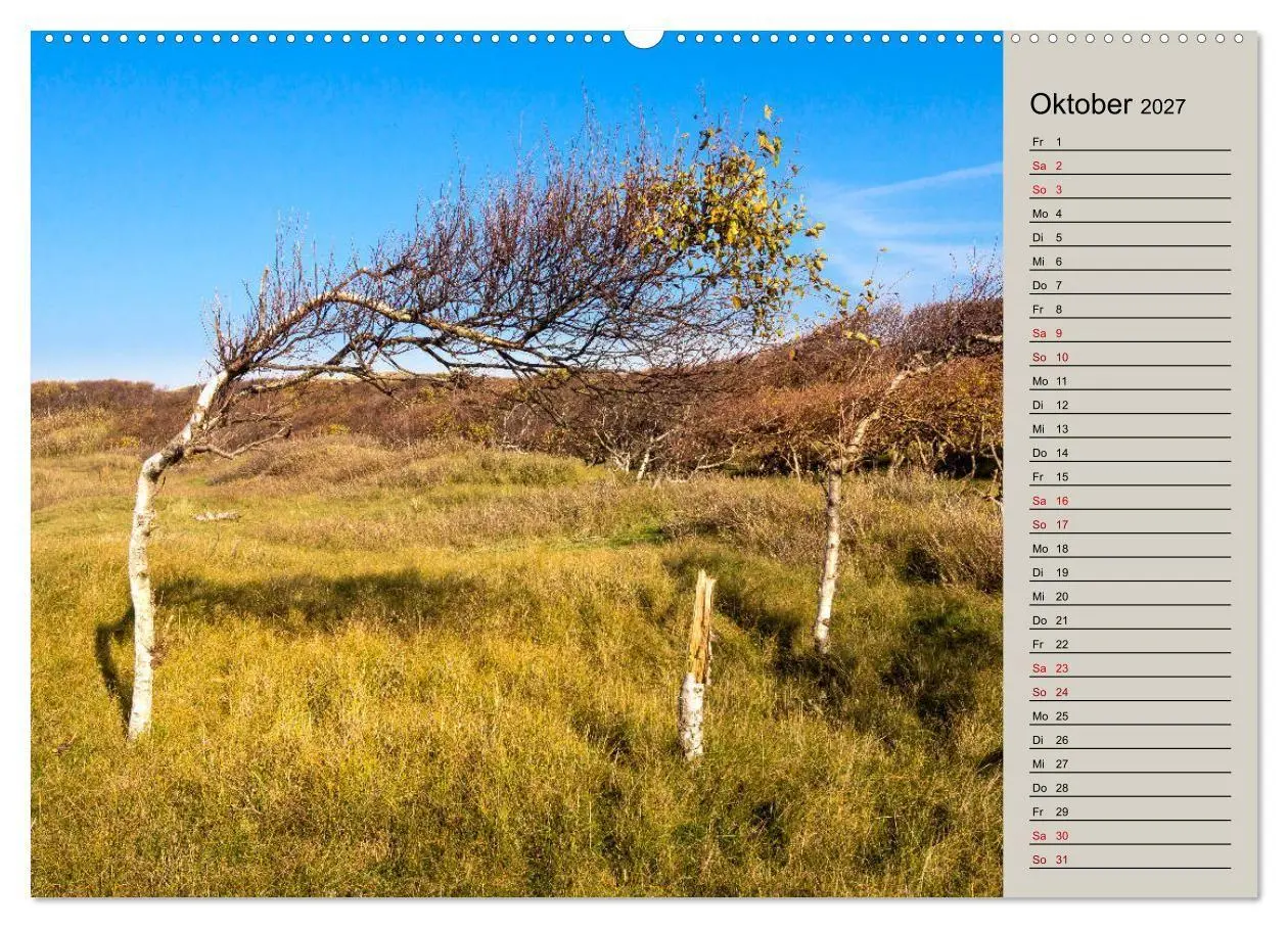 Bild: 9783569761995 | NORDERNEY Geburtstagskalender mit Planerfunktion (Wandkalender 2027...