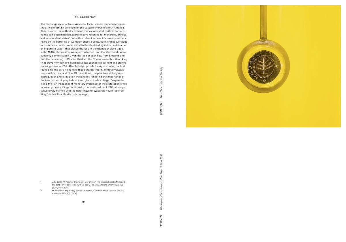 Bild: 9783775751995 | Cooking Sections | Offsetted | Cooking Sections | Taschenbuch | 176 S.