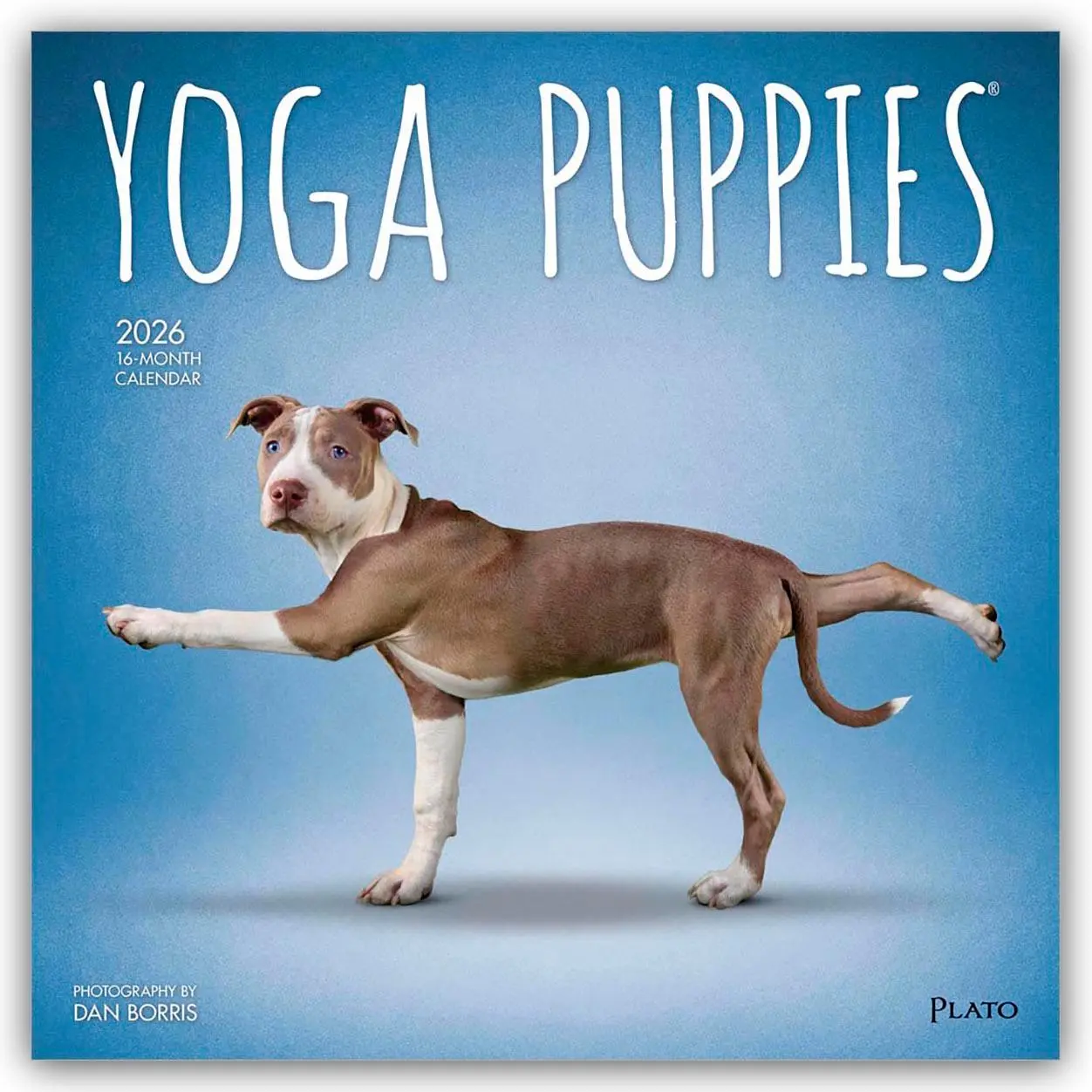 Cover: 9798330701995 | Yoga Puppies - Welpen Yoga 2026 - 16-Monatskalender | Publishers