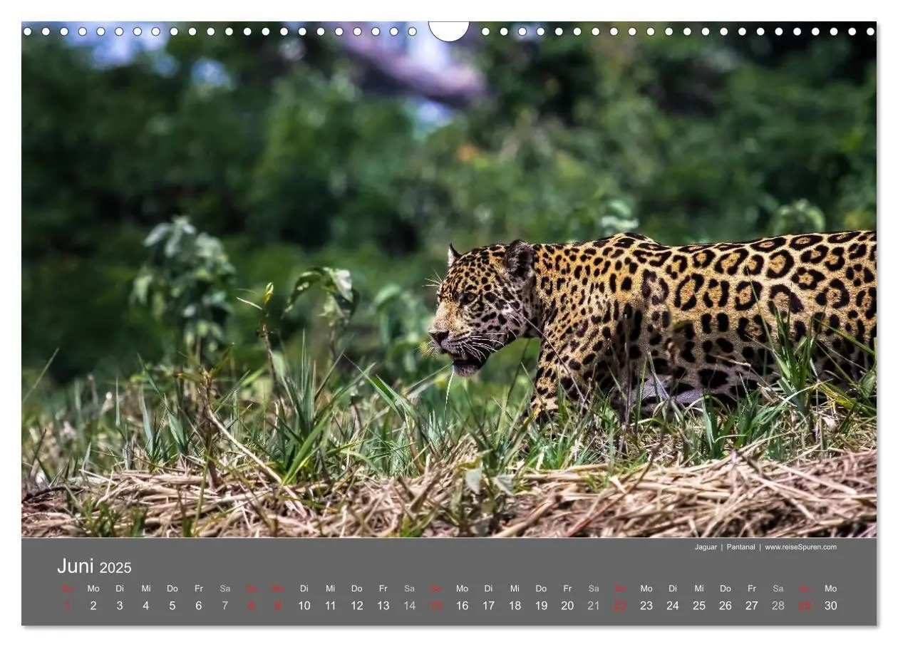 Bild: 9783435692095 | Brasilien 2025 abseits von Rio (Wandkalender 2025 DIN A3 quer),...