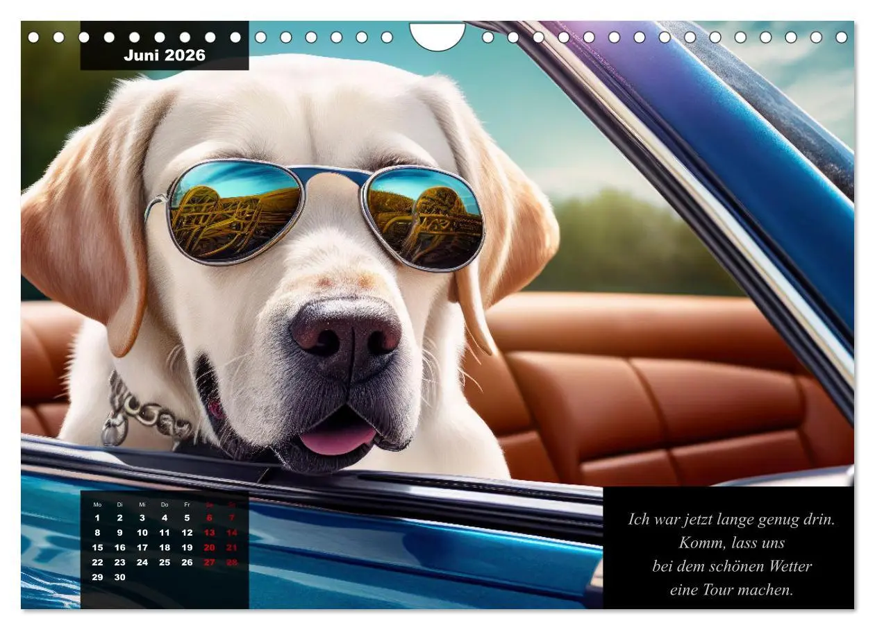Bild: 9783457542095 | Der witzige Labrador-Kalender (Wandkalender 2026 DIN A4 quer),...