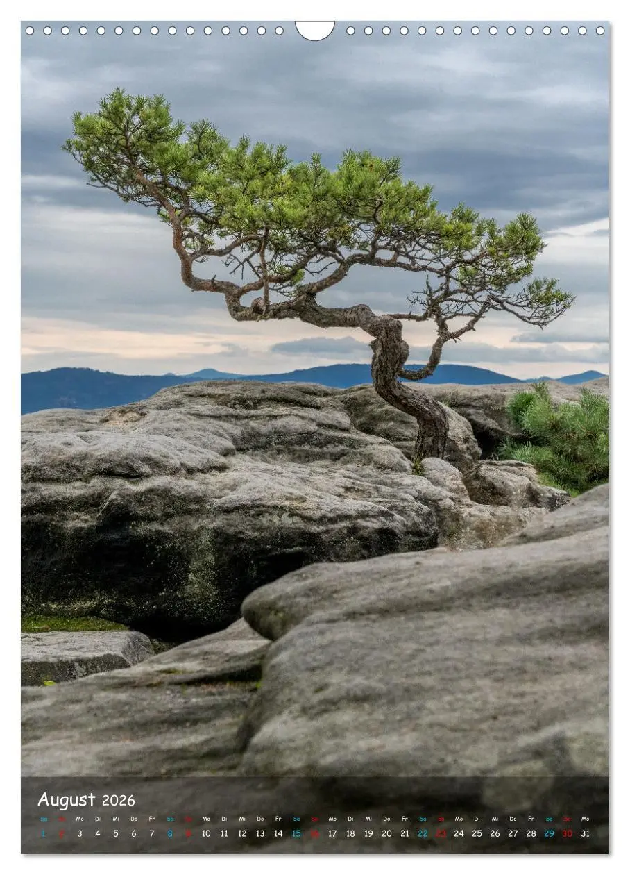 Bild: 9783516252095 | Höhepunkte der Sächsischen Schweiz (Wandkalender 2026 DIN A3 hoch),...